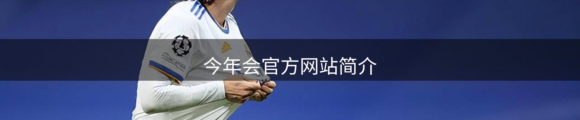 今年会官方网站简介