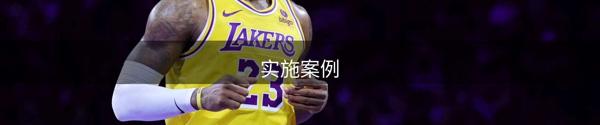 实施案例